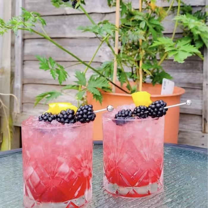 Cocktail Bramble