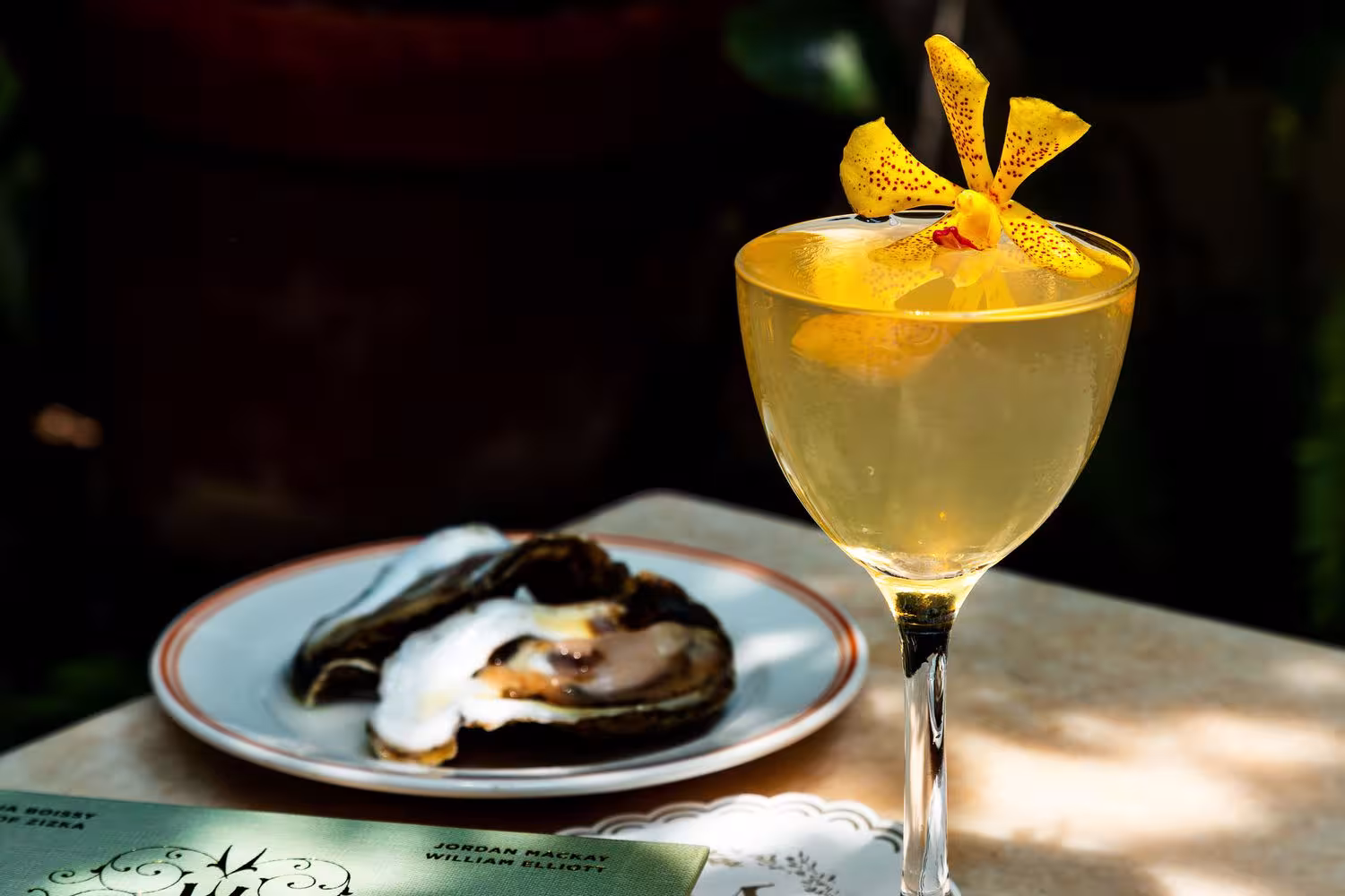 Cocktail Chrysanthemum